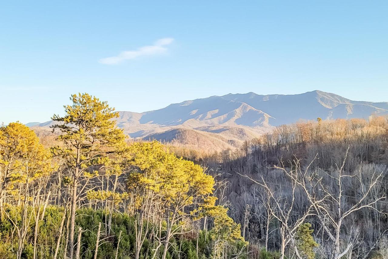 3 Lazy Bears Chalet Гатлинбург Экстерьер фото