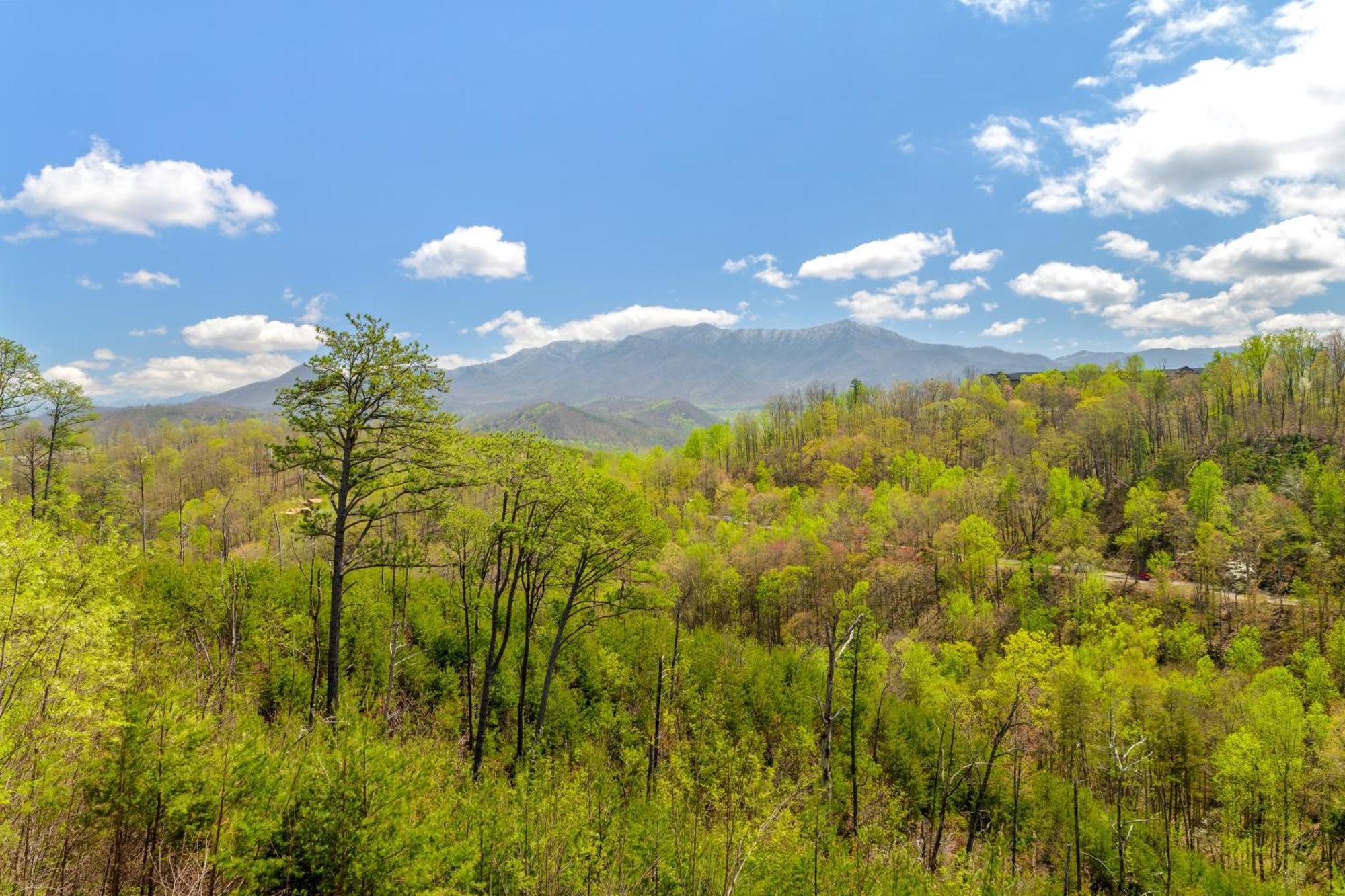 3 Lazy Bears Chalet Гатлинбург Экстерьер фото